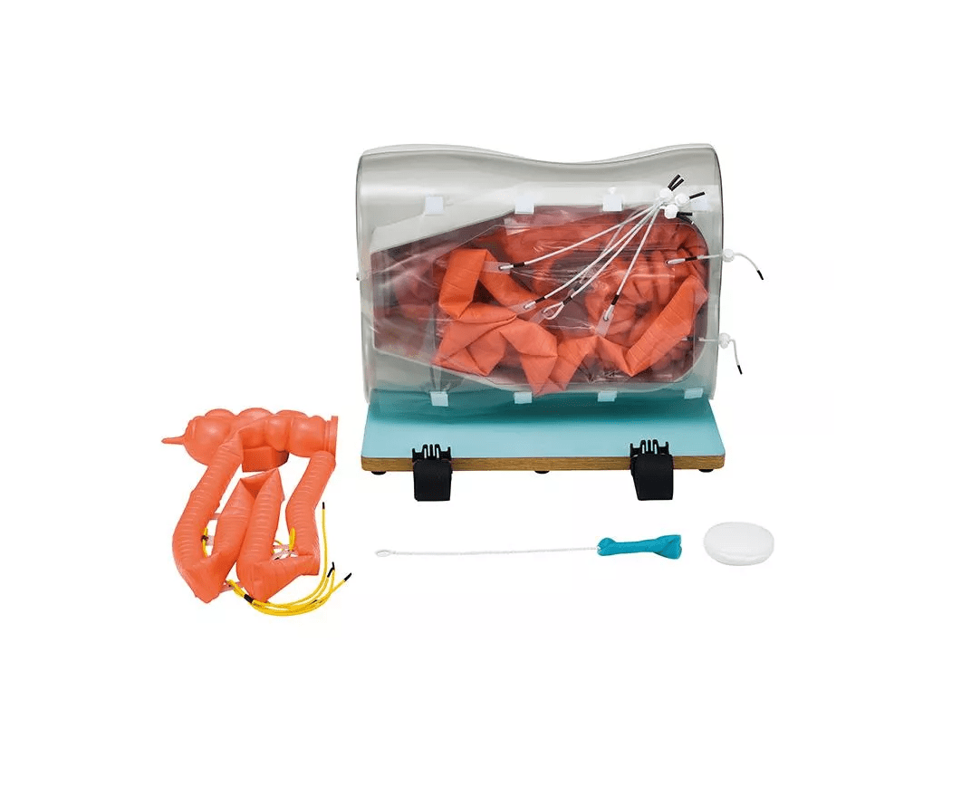 Optionale Erweiterung Dünndarm für LM107 - Erler - Zimmer